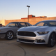 Illustration for article titled Is the S550 Mustang the new FRS/BRZ/ST of Oppo?